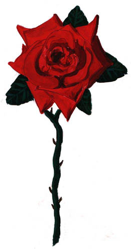 Rose